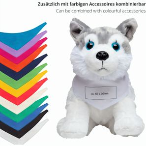 Quietsche-Ente Bayern, stehend