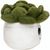 Schmoozies® Evergreenies® Sukkulente (Bild 2)