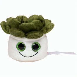Produktabbildung Schmoozies® Evergreenies® Sukkulente Schmoozies® Evergreenies® Sukkulente