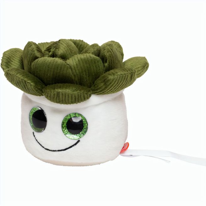 Schmoozies® Evergreenies® Sukkulente