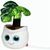 Schmoozies® Evergreenies® Monstera (Bild 2)