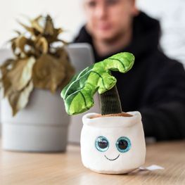 Schmoozies® Evergreenies® Monstera