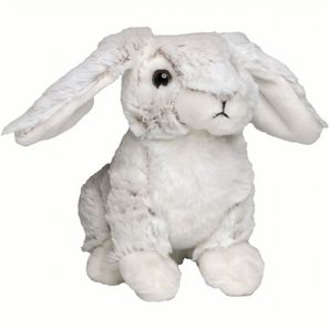 Hase Bettina