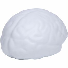 Produktabbildung Gehirn Gehirn