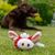 Hundespielzeug Knotentier Wildschwein (Bild 4)