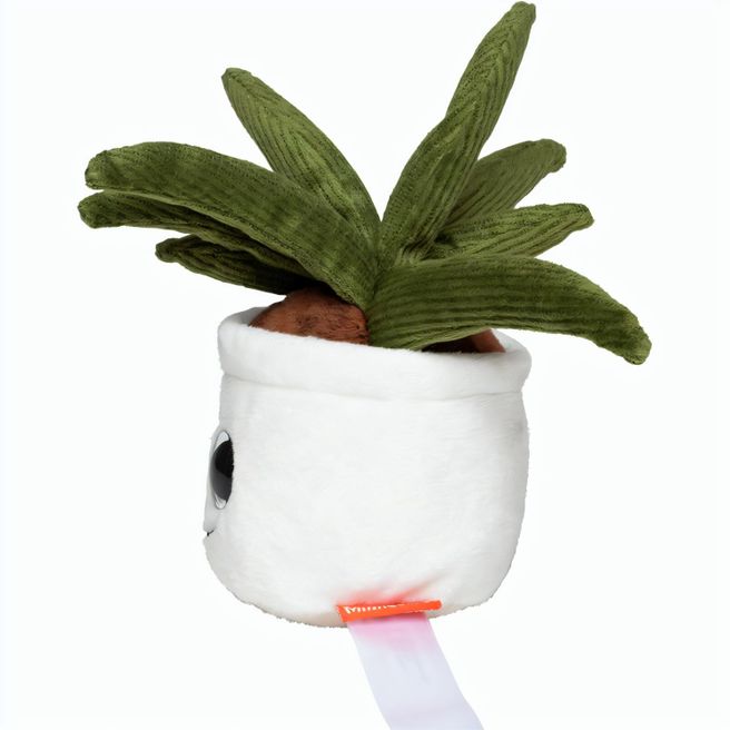 Produktabbildung Schmoozies® Evergreenies® Aloe Vera Schmoozies® Evergreenies® Aloe Vera