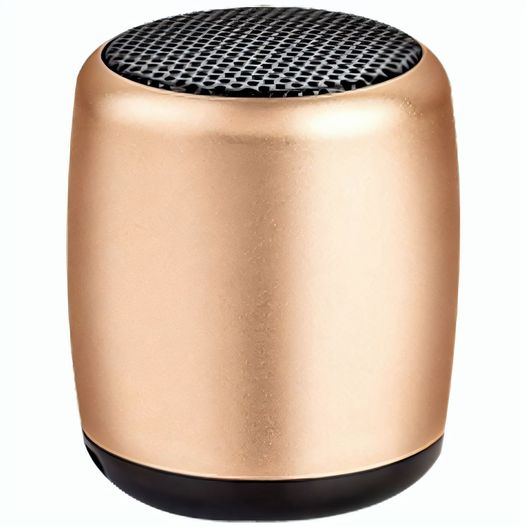 MINIspeaker (Bild 1)
