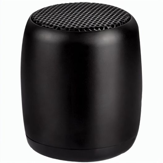 MINIspeaker (Bild 1)