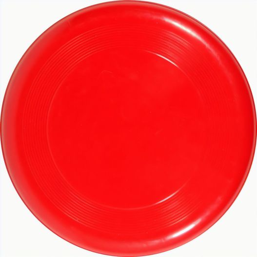 Wurfscheibe Befo (Bild 1)