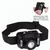 Aufladbare LED Stirnleuchte mit Sensorfunktion "Focus Head Light Charge 220 L" (Bild 1)