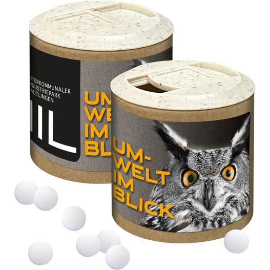 Papier-Werbedose mit Stevia* Pfefferminzpastillen, 72 g (Bild 1)