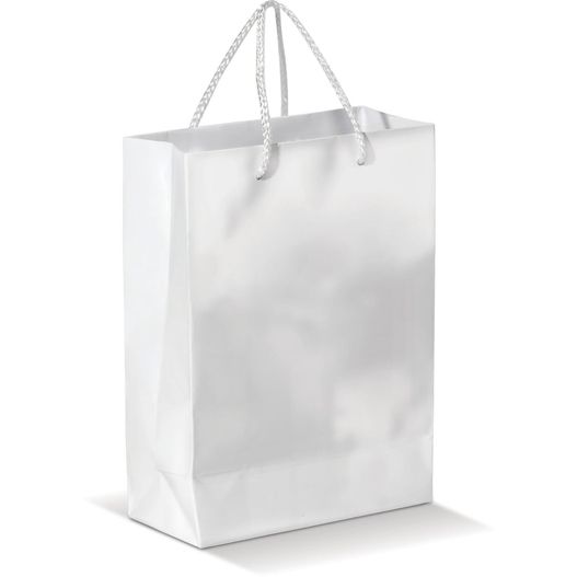 Produktabbildung Laminierte Papiertasche, groß Laminierte Papiertasche, groß (Bild 1)