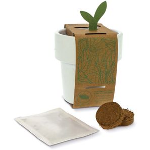 Hot-but-cool Tasse mit Basilikum
