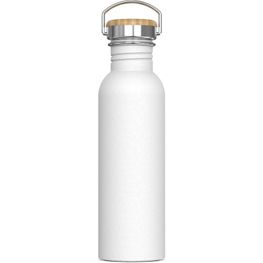 Wasserflasche Ashton 750ml