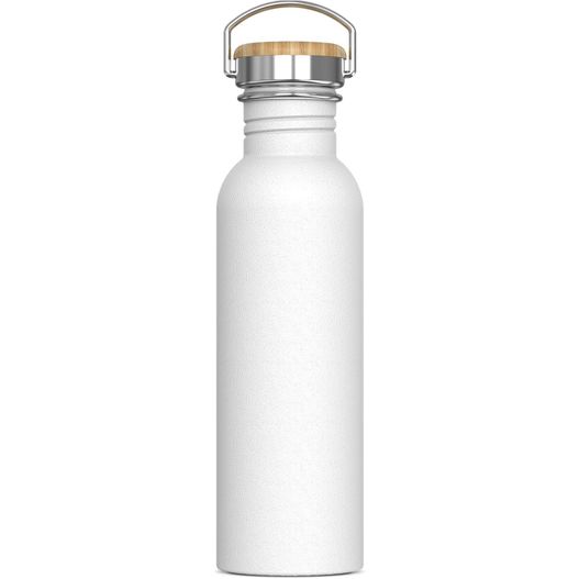 Produktabbildung Wasserflasche Ashton 750ml Wasserflasche Ashton 750ml (Bild 1)