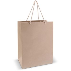 Geschenktüte aus Papier 120g/m² 30x20x40cm