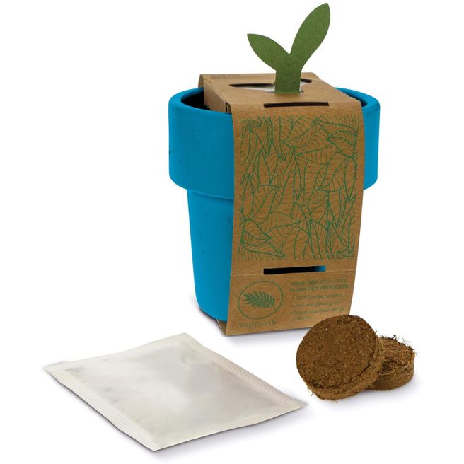 Hot-but-cool Tasse mit Erdbeersamen