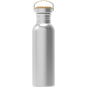 Wasserflasche Ashton 750ml