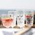 Sagaform Acryl Picknickglas hoch 200ml 4er Set (Bild 3)