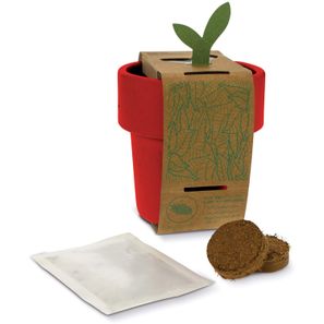 Hot-but-cool Tasse mit Basilikum