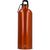 R-Edelstahl einwandige Flasche mit Karabiner 750ml (Bild 2)