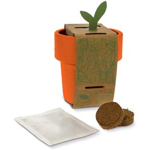 Hot-but-cool Tasse mit Kirschtomatenamen