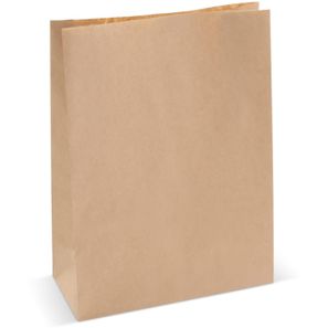 Papiertüte 70g/m² 29x22x9cm