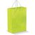 Laminierte Papiertasche, klein