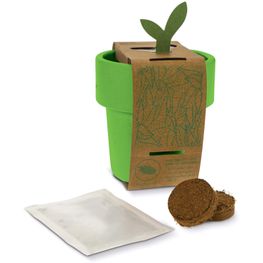 Hot-but-cool Tasse mit Basilikum