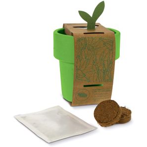 Hot-but-cool Tasse mit Basilikum