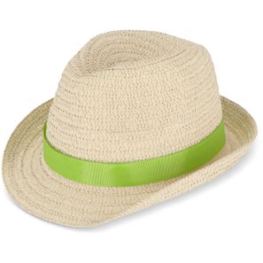 Pflanzlicher Strohhut mit farbigem Band