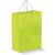 Laminierte Papiertasche, groß
