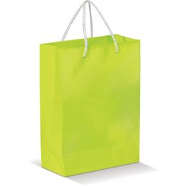 Laminierte Papiertasche, groß