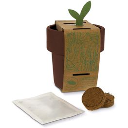 Hot-but-cool Tasse mit Basilikum