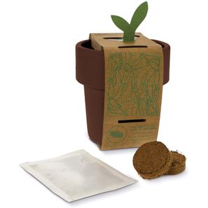 Hot-but-cool Tasse mit Basilikum