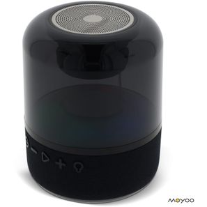 Moyoo Smokey Dome speaker
