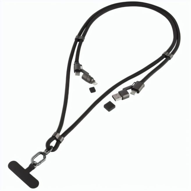 Trage & Ladekabel "Carry&ChargePro"