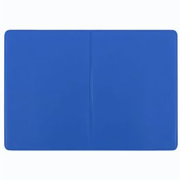 thanxx® Pflastermäppchen "PflasterL" Normalfolie