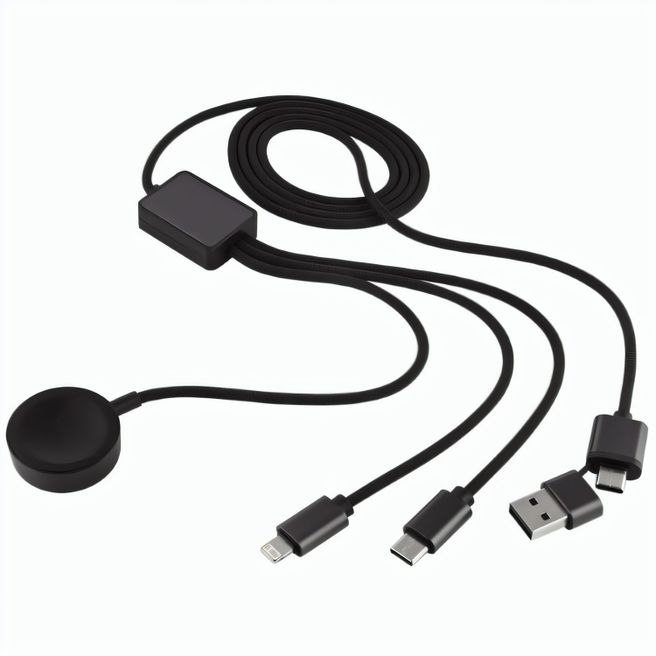 Ladekabel 65W Smartwatch "BizChargePro"