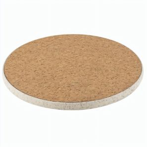 "FutureCharge&Coaster"