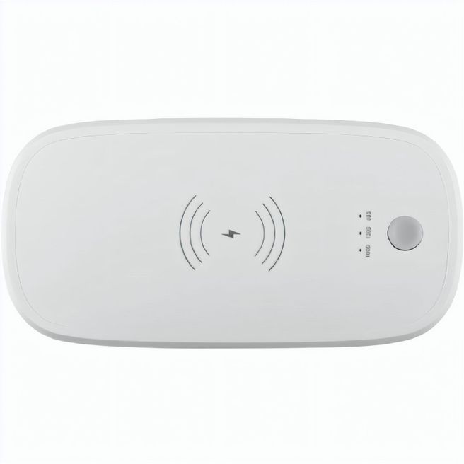 "Charge&CleanStation" ProUV