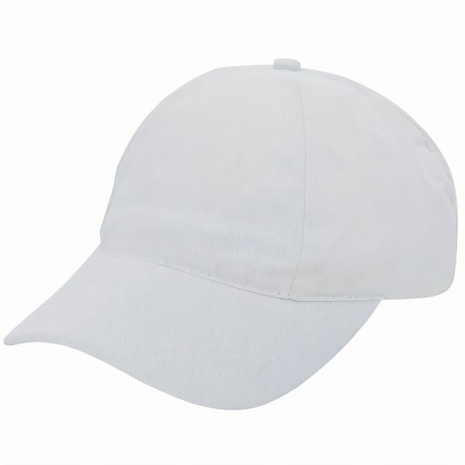 Brushed Promo Cap