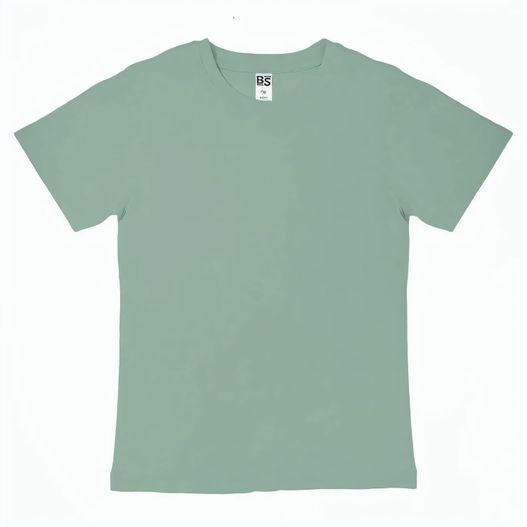Produktabbildung BS Evolution Kinder T-Shirt, 150 gr/m² BS Evolution Kinder T-Shirt, 150 gr/m² (Bild 1)