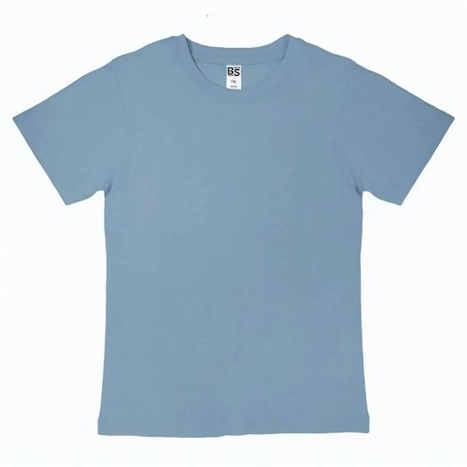 Produktabbildung BS Evolution Kinder T-Shirt, 150 gr/m² BS Evolution Kinder T-Shirt, 150 gr/m² (Bild 1)
