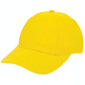 Brushed Promo Cap