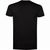 BS Evolution T-Shirt. 150 gr/m² (Bild 2)