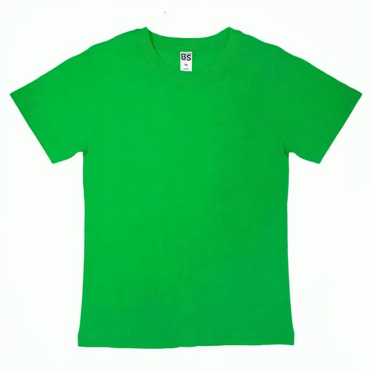 Produktabbildung BS Evolution Kinder T-Shirt, 150 gr/m² BS Evolution Kinder T-Shirt, 150 gr/m² (Bild 1)