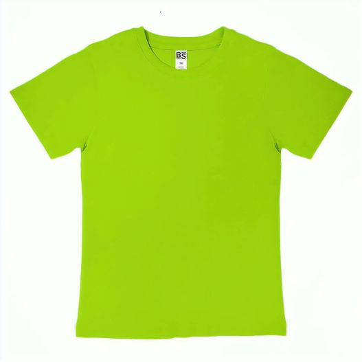 Produktabbildung BS Evolution Kinder T-Shirt, 150 gr/m² BS Evolution Kinder T-Shirt, 150 gr/m² (Bild 1)