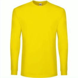 Produktabbildung BS Evolution Langarm-T-Shirt. 160 g/m2. 100 % Baumwolle BS Evolution Langarm-T-Shirt. 160 g/m2. 100 % Baumwolle