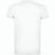 BS Evolution T-Shirt. 150 gr/m² (Bild 2)